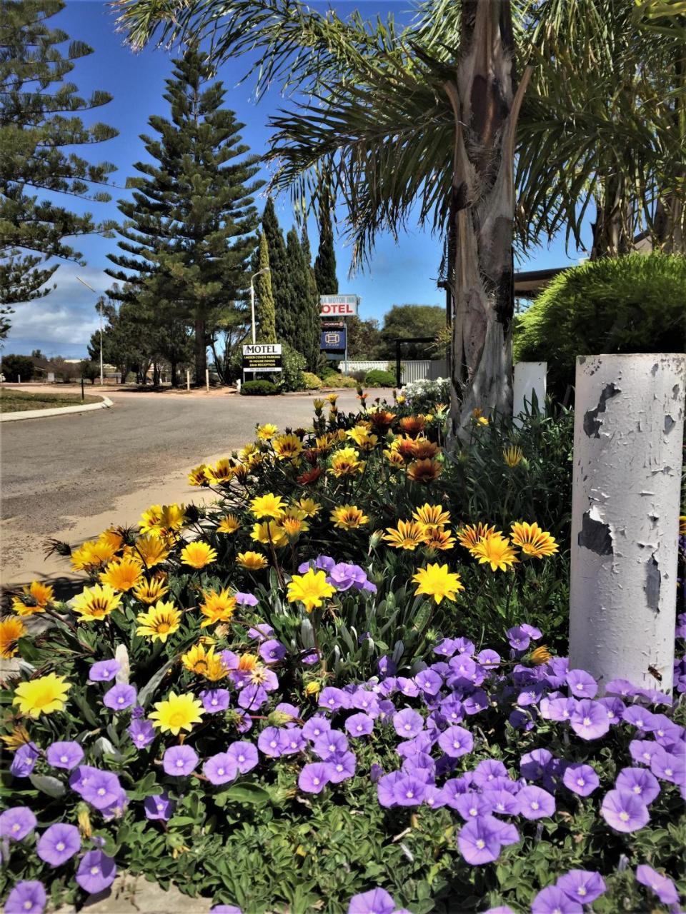 Ceduna Motor Inn Exterior foto